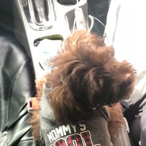 Meet your Posher, Vickie